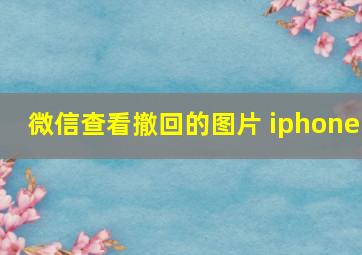 微信查看撤回的图片 iphone